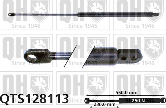 Quinton Hazell QTS128113 - Газовая пружина, упор autospares.lv