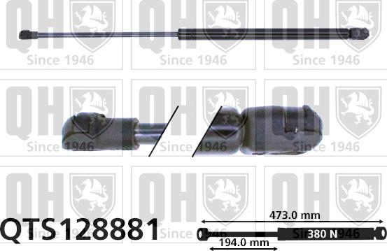 Quinton Hazell QTS128881 - Газовая пружина, упор autospares.lv