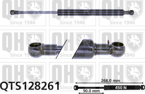 Quinton Hazell QTS128261 - Газовая пружина, упор autospares.lv