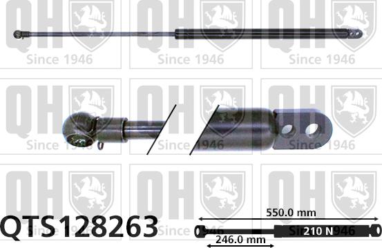 Quinton Hazell QTS128263 - Газовая пружина, упор autospares.lv