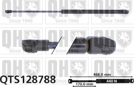 Quinton Hazell QTS128788 - Газовая пружина, упор autospares.lv