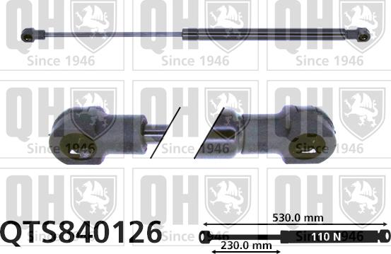 Quinton Hazell QTS840126 - Газовая пружина, заднее стекло autospares.lv