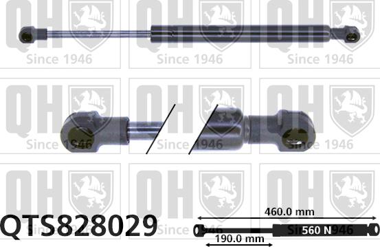 Quinton Hazell QTS828029 - Газовая пружина, упор autospares.lv