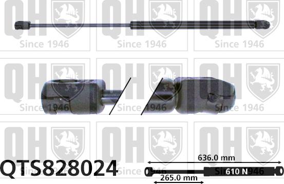 Quinton Hazell QTS828024 - Газовая пружина, упор autospares.lv