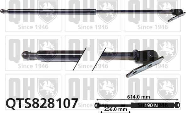 Quinton Hazell QTS828107 - Газовая пружина, упор autospares.lv