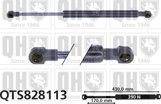 Quinton Hazell QTS828113 - Газовая пружина, упор autospares.lv