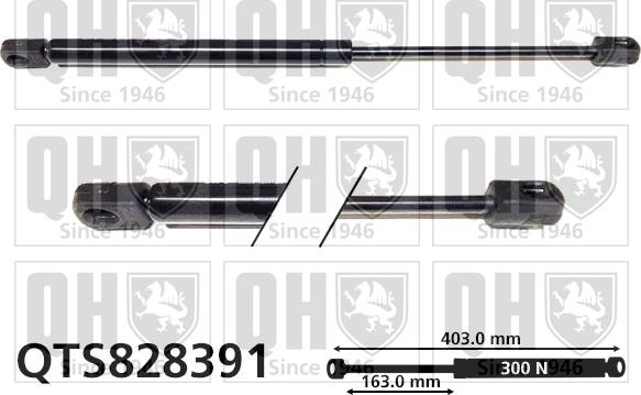 Quinton Hazell QTS828391 - Газовая пружина, упор autospares.lv