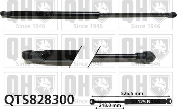 Quinton Hazell QTS828300 - Газовая пружина, заднее стекло autospares.lv