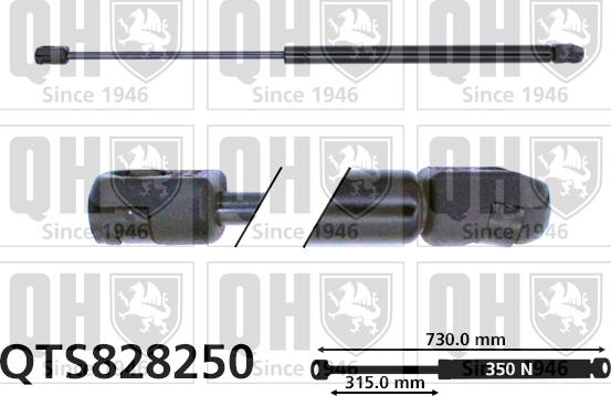 Quinton Hazell QTS828250 - Газовая пружина, капот autospares.lv