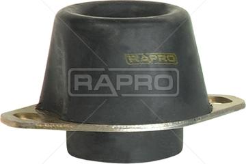 Rapro R59741 - Подушка, опора, подвеска двигателя autospares.lv