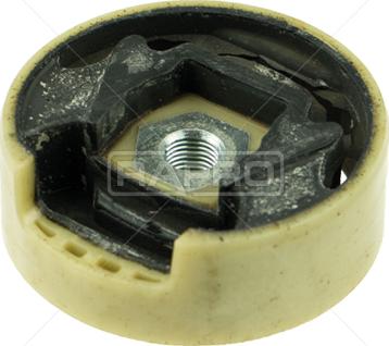 Rapro R55313/O - Подушка, опора, подвеска двигателя autospares.lv