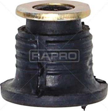 Rapro R55215 - Подушка, опора, подвеска двигателя autospares.lv