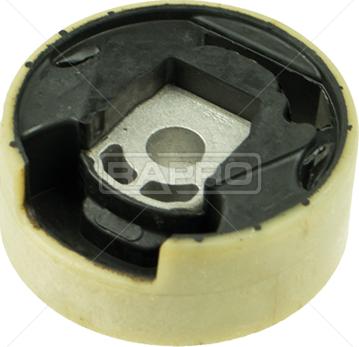 Rapro R55285/O - Подушка, опора, подвеска двигателя autospares.lv