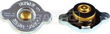 Rapro R66134 - Крышка, резервуар охлаждающей жидкости autospares.lv