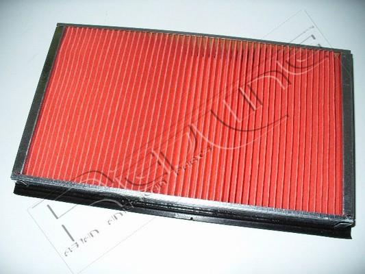 Red Line 36IF000 - Воздушный фильтр, двигатель autospares.lv