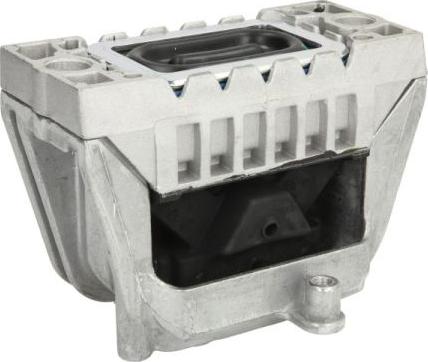 REINHOCH RH11-0068 - Подушка, опора, подвеска двигателя autospares.lv