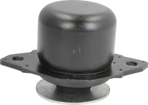 REINHOCH RH11-0108 - Подушка, опора, подвеска двигателя autospares.lv