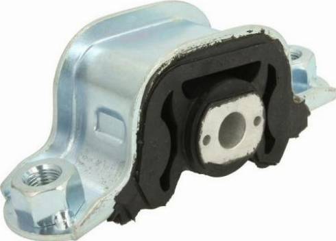 REINHOCH RH11-1000 - Подушка, опора, подвеска двигателя autospares.lv