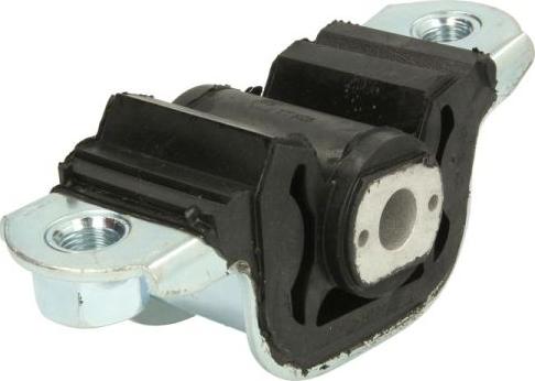 REINHOCH RH11-1000 - Подушка, опора, подвеска двигателя autospares.lv