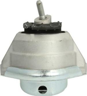 REINHOCH RH11-3050 - Подушка, опора, подвеска двигателя autospares.lv