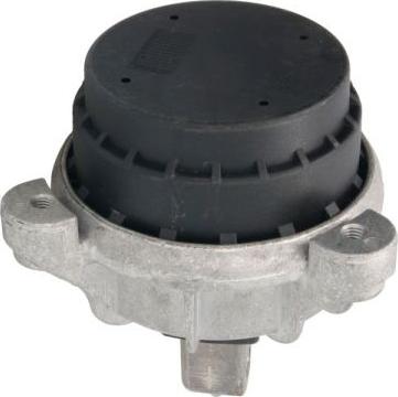 REINHOCH RH11-3058 - Подушка, опора, подвеска двигателя autospares.lv