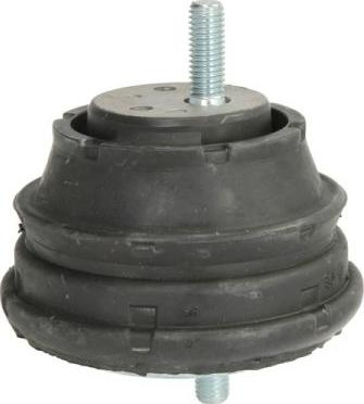 REINHOCH RH11-3009 - Подушка, опора, подвеска двигателя autospares.lv