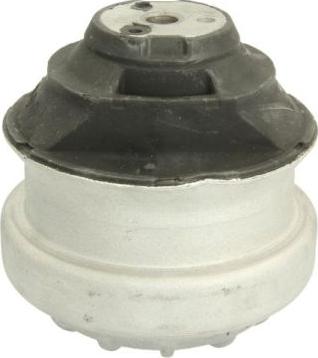 REINHOCH RH11-3006 - Подушка, опора, подвеска двигателя autospares.lv