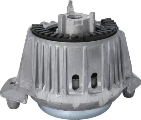 REINHOCH RH11-3119 - Подушка, опора, подвеска двигателя autospares.lv