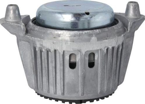 REINHOCH RH11-3119 - Подушка, опора, подвеска двигателя autospares.lv