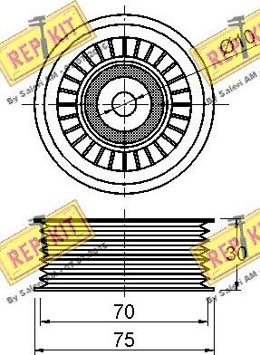 REPKIT RKT3231 - Ролик, поликлиновый ремень autospares.lv