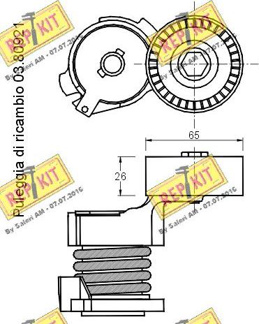 REPKIT RKT2630 - Натяжитель, поликлиновый ремень autospares.lv