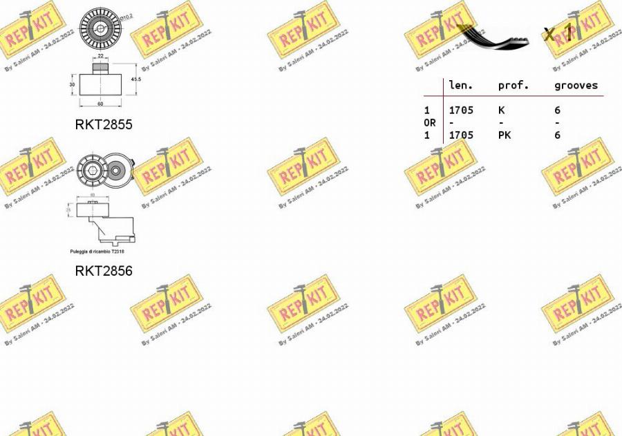 REPKIT RKTA0004 - Поликлиновый ременный комплект autospares.lv