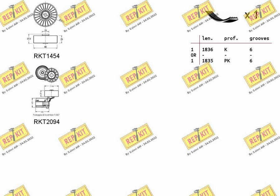 REPKIT RKTA0039 - Поликлиновый ременный комплект autospares.lv