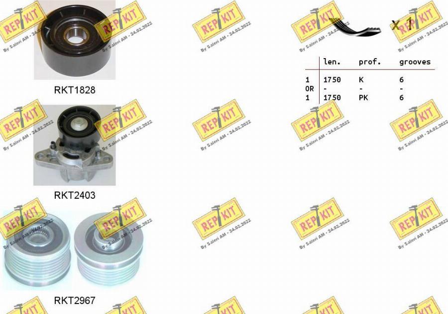 REPKIT RKTA0108 - Поликлиновый ременный комплект autospares.lv