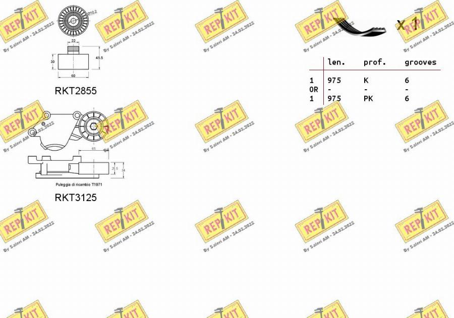 REPKIT RKTA0131 - Поликлиновый ременный комплект autospares.lv