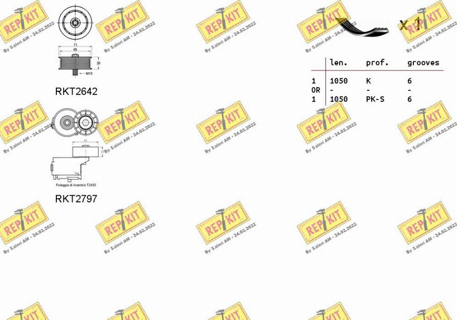 REPKIT RKTA0129 - Поликлиновый ременный комплект autospares.lv