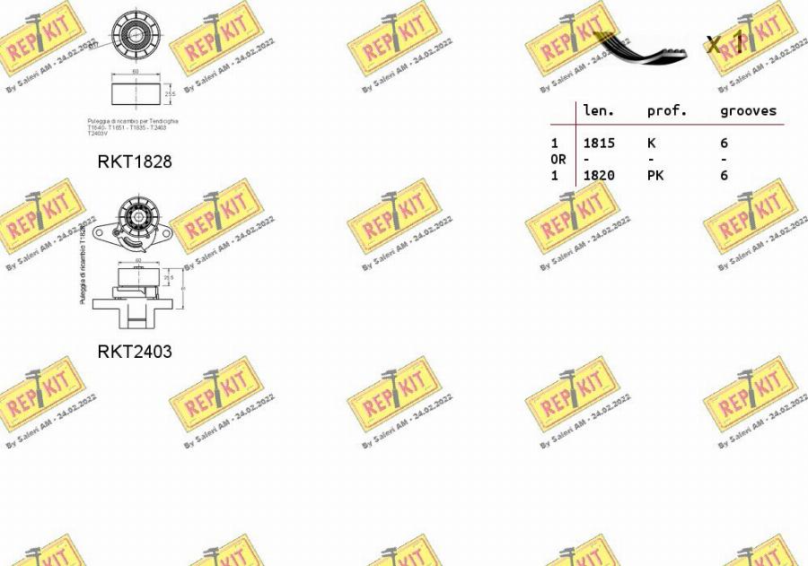 REPKIT RKTA0125 - Поликлиновый ременный комплект autospares.lv