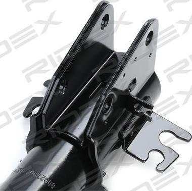 RIDEX 854S1051 - Амортизатор autospares.lv