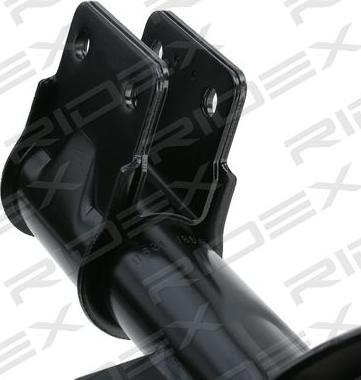 RIDEX 854S1782 - Амортизатор autospares.lv