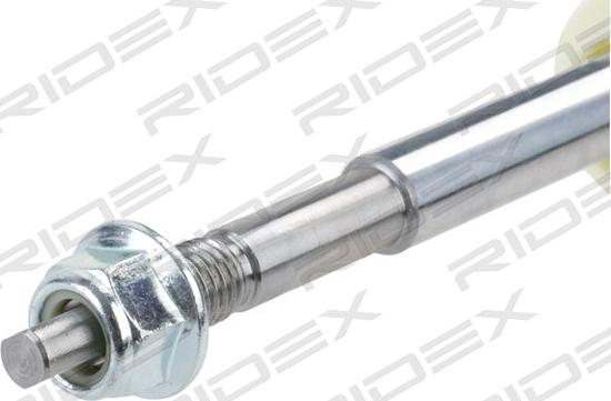 RIDEX 854S1738 - Амортизатор autospares.lv