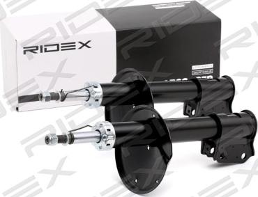 RIDEX 854S2290 - Амортизатор autospares.lv