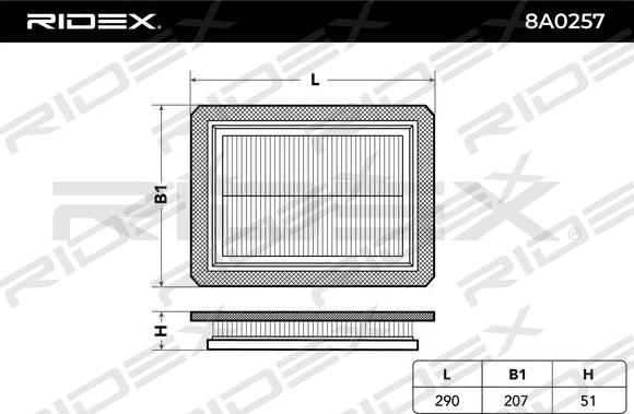 RIDEX 8A0257 - Воздушный фильтр, двигатель autospares.lv