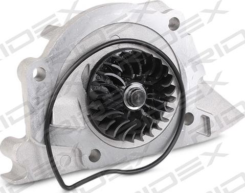 RIDEX 3096W0309 - Водяной насос + комплект зубчатого ремня ГРМ autospares.lv