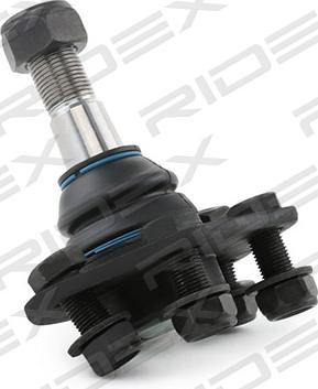 RIDEX 2462S0201 - Шаровая опора, несущий / направляющий шарнир autospares.lv