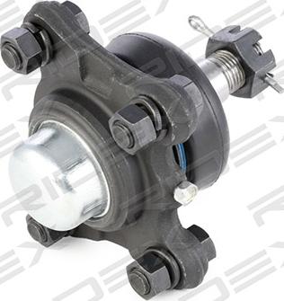 RIDEX 2462S0225 - Шаровая опора, несущий / направляющий шарнир autospares.lv