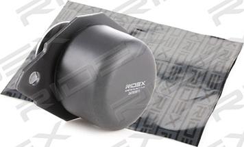 RIDEX 247E0011 - Подушка, опора, подвеска двигателя autospares.lv