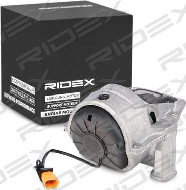 RIDEX 247E0231 - Подушка, опора, подвеска двигателя autospares.lv