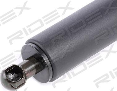 RIDEX 219G0079 - Газовая пружина, упор autospares.lv