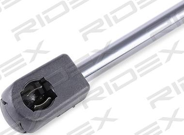 RIDEX 219G0317 - Газовая пружина, упор autospares.lv