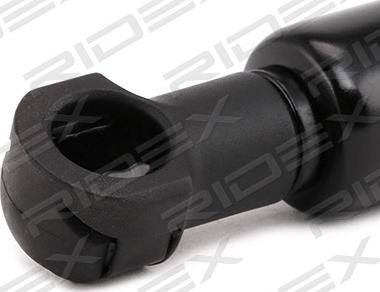 RIDEX 219G0290 - Газовая пружина, упор autospares.lv